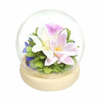 お供え用(仏花) 四季スフィア プリザーブドフラワー 師走 デンファレ C38312