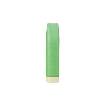 寺西化学工業 ギター ジャンボカラー 水彩えのぐ(絵具) 220ml きみどり ESJB-T9