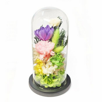 ��������(ʩ��) ���饹�ɡ��ॢ��󥸥��� �ץꥶ���֥ɥե� �ڡ���(�ʤʤ�) �ۥ磻�� C36400