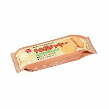 健康フーズ 卵・バター不使用 うの花クッキー 80g×10 1384 [ラッピング不可][代引不可][同梱不可]