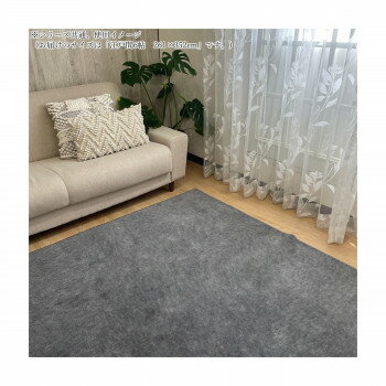 Door Mats - ペットの爪がひっかかりにくい 抗菌防臭 平織りカーペット BK(ブラック) 江戸間6帖 261×352 [ラッピング不可][代引不可][同梱不可]