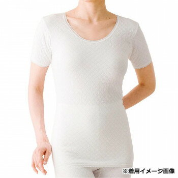 �ӥӥ���� ��ǥ����� �˾奭��� �ؿ�Ⱦµ����ʡ� L 3312