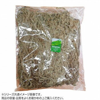 園芸用品 ニュージーランド産水苔 100g レイヤー [ラッピング不可][代引不可][同梱不可]