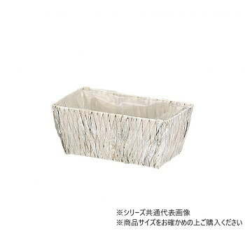 大橋新治商店 ヒヤシンスアレンジ4W 29-054