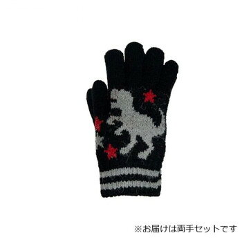 　ギフト対応について　楽天国際配送対象店舗 （海外配送）　Rakuten International Shipping【メール便(定形外郵便)の配送について】※こちらの商品は、[メール便(定形外郵便)]での発送となります。※他商品との同梱された場合は、[宅配便]での発送となり通常の送料が掛かります。※[他商品との同梱][代金引換][配達日時指定]でのご注文をお受けできません。※原則ポスト投函となります。通常の[宅配便]と違い配達までのお時間が掛かる場合があります。&nbsp;子供用手袋 恐竜 ティラノザウルス フリー ブラック(5) 004550624子供用のティラノザウルス柄手袋【子供用手袋 恐竜 ティラノザウルス フリー ブラック(5) 004550624】 fk094igrjs ティラノザウルス柄の子供用手袋です。サイズ子供用フリーサイズ個装サイズ：12×11×3cm重量個装重量：25g素材・材質AN他裏地:ナイロン仕様子供用生産国台湾 製品詳細 商品名：子供用手袋 恐竜 ティラノザウルス フリー ブラック(5) 004550624カラー・サイズ名称：2265871JANコード：4522546860581 広告文責 (有)イースクエアTEL:0120-532-772 ※お客さま都合による、ご注文後の[キャンセル][変更][返品][交換]はお受けできませんのでご注意下さいませ。※当店では、すべての商品で在庫を持っておりません。記載の納期を必ずご確認ください。※ご注文いただいた場合でもメーカーの[在庫切れ][欠品][廃盤]などの理由で、[記載の納期より発送が遅れる][発送できない]場合がございます。その際は、当店よりご連絡させていただきます。あらかじめご了承ください。【メール便(定形外郵便)の配送について】※こちらの商品は、[メール便(定形外郵便)]での発送となります。※他商品との同梱された場合は、[宅配便]での発送となり通常の送料が掛かります。※[他商品との同梱][代金引換][配達日時指定]でのご注文をお受けできません。※原則ポスト投函となります。通常の[宅配便]と違い配達までのお時間が掛かる場合があります。 こちらの商品は【お取り寄せ(14営業日以内に発送予定)】となります。