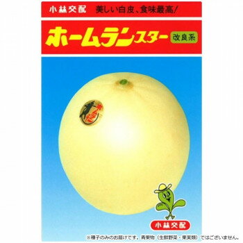小林種苗 メロン種子 ホームランスター改良系 8131 100粒 [ラッピング不可][代引不...