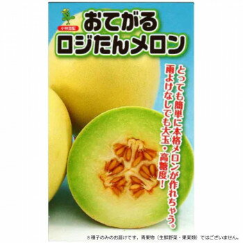 小林種苗 メロン種子 おてがるロジたん 8136 100粒 [ラッピング不可][代引不可][同梱不可]