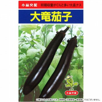 小林種苗 ナス種子 大竜 7212 20ml [ラッピング不可][代引不可][同梱不可]