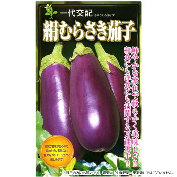 &nbsp;小林種苗 ナス種子 絹むらさき 8149 小袋(7粒)鮮やかな紫色でやわらかくて美味しい!【小林種苗 ナス種子 絹むらさき 8149 小袋(7粒)】 fk094igrjs この絹むらさき茄子は、鮮やかなパープルの果実にエメラルドグリーンのガクのコントラストが目を引く美しさの米茄子になります。円筒形の果実は長さ20cm程度でツヤがあります。肉質は緻密で癖や苦味もありません。皮も肉も柔らかいです。多収が見込める品種で、草勢はやや強く、3〜4本仕立てで栄養生長と生殖生長のバランスをとってください。熟期まで65日程度です。火を通しても崩れにくいので炒め物、揚げ物に向きます。レシピでは田楽、ステーキ、グラタン、ピザ、パスタ、ラザニアなどにするとその緻密な肉質の食感を楽しめます。【栽培のポイント】・元肥は苦土石灰をやや多く施し、追肥は遅れないように定期的に行ってください。・定植は第1花開花時に行い、枝が張るので株間はやや広くとります。・ホルモン処理は自根栽培では低温時に、接木栽培では初期の強制着果に必要です。通常は蜂交配、ホルモン処理のどちらでも良いです。【注意事項】※種子は播種後の栽培条件、天候事情により、その結果が異なる場合がございます。万が一、結果不良でも保証はできかねます。※一部地域(郡部・山間部等)は時間帯指定不可となります。サイズ個装サイズ：15×10×1cm重量個装重量：30g仕様内容量:小袋(7粒)生産国タイ 製品詳細 商品名：小林種苗 ナス種子 絹むらさき　8149　小袋(7粒)カラー・サイズ名称：2285428JANコード：4570067472158 広告文責 (有)イースクエアTEL:0120-532-772 ※お客さま都合による、ご注文後の[キャンセル][変更][返品][交換]はお受けできませんのでご注意下さいませ。※当店では、すべての商品で在庫を持っておりません。記載の納期を必ずご確認ください。※ご注文いただいた場合でもメーカーの[在庫切れ][欠品][廃盤]などの理由で、[記載の納期より発送が遅れる][発送できない]場合がございます。その際は、当店よりご連絡させていただきます。あらかじめご了承ください。※こちらの商品は【他商品との同梱】ができません。※こちらの商品は【ギフトサービス】をお受けすることができません。 こちらの商品は【お取り寄せ(14営業日以内に発送予定)】となります。