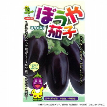 小林種苗 ナス種子 ぼうや茄子 1-8-69 小袋(8粒) [ラッピング不可][代引不可][同梱不可]