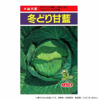 小林種苗 キャベツ種子 冬どり甘藍 17 20ml [ラッピング不可][代引不可][同梱不可]