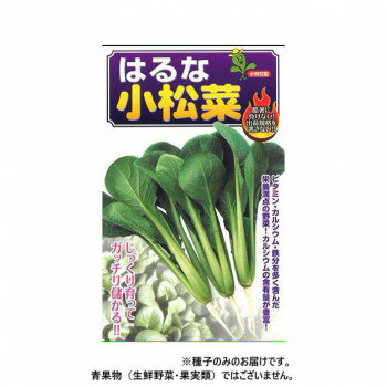 &nbsp;小林種苗 コマツナ種子 はるな 6 20ml酷暑に負けない!【小林種苗 コマツナ種子 はるな 6 20ml】 fk094igrjs 暑さに強く、ゆっくりとした生育で夏まき栽培に最適です。また、白さび病に強く、春秋の冷涼多雨期にも作りやすい品種です。葉は味波小松菜よりやや長め、濃緑色の照り葉で見た目も映えます。草姿は立性で葉柄が太く、作業性にすぐれます。そのゆっくりとした生育から、収穫期間が長く、高い在圃性も持ち合わせています。※種子は播種後の栽培条件、天候事情により、その結果が異なる場合がございます。万が一、結果不良でも保証はできかねます。サイズ個装サイズ：20×20×2cm重量個装重量：20g仕様内容量:20ml生産国アメリカ 製品詳細 商品名：小林種苗 コマツナ種子 はるな　6　20mlカラー・サイズ名称：2285577JANコード：4570067472677 広告文責 (有)イースクエアTEL:0120-532-772 ※お客さま都合による、ご注文後の[キャンセル][変更][返品][交換]はお受けできませんのでご注意下さいませ。※当店では、すべての商品で在庫を持っておりません。記載の納期を必ずご確認ください。※ご注文いただいた場合でもメーカーの[在庫切れ][欠品][廃盤]などの理由で、[記載の納期より発送が遅れる][発送できない]場合がございます。その際は、当店よりご連絡させていただきます。あらかじめご了承ください。※こちらの商品は【他商品との同梱】ができません。※こちらの商品は【ギフトサービス】をお受けすることができません。 こちらの商品は【お取り寄せ(14営業日以内に発送予定)】となります。