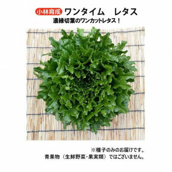 小林種苗 レタス種子 ワンタイム 7228 20ml [ラッピング不可][代引不可][同梱不可]