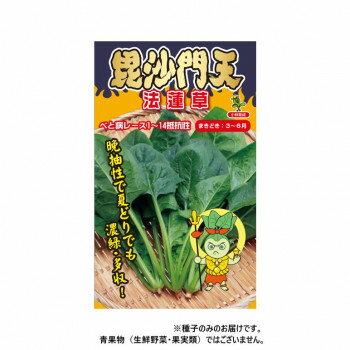 小林種苗 ホウレンソウ種子 毘沙門天 9345 L 1リットル [ラッピング不可][代引不可][同梱不可]