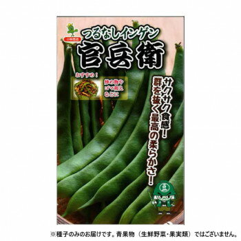 小林種苗 インゲン種子 官兵衛 つるなしインゲン 4757 1L [ラッピング不可][代引不可][同梱不可]