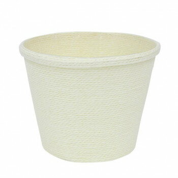 大橋新治商店 ペプリ D5 アイボリー 22-025