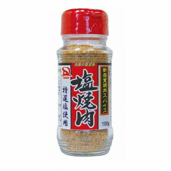 サンダイナー食品 粉末調味料 塩焼肉 100g 40本 234