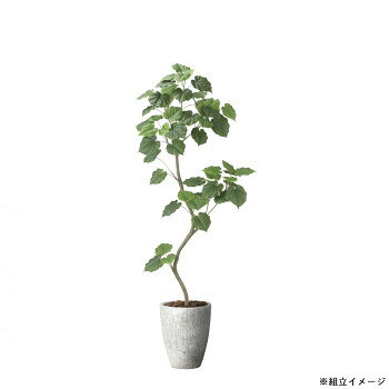 &nbsp;アートクリエイション光の楽園 フェイクグリーン ナチュラルウンベラータ 高さ190cm 組立式 2499A740大きなハート型の葉が印象的【アートクリエイション光の楽園 フェイクグリーン ナチュラルウンベラータ 高さ190cm 組立式 2499A740】 fk094igrjs ウンベラータはアフリカ原産の観葉植物で、大きなハート型の葉が印象的です。やさしく柔らかな雰囲気をまとい、置くだけで空間を明るく彩ってくれます。ナチュラルで爽やかな存在感があり、南国のリゾートを思わせる癒しのインテリアグリーンとして人気です。【造花だから、ずっと楽しめるインテリア】造花(フェイクグリーン・フェイクフラワー)です。造花は、水やりの必要がなく衛生面や周囲の環境により、生の植物では、適応できない場所でも比較的簡単に装飾できるのが魅力です。設置してしまえば、その後のメンテナンスはほぼ不要。メンテナンスコストが大幅に削減できるので、ますます需要を高めています。室内空間の美しさを引き立たせるフリーンやフラワーは、コーディネートの脇役的な存在に見られがちですが、インテリアの仕上げには欠かせないアイテムです。造花の品質は年々進化しています。お部屋を手軽に華やかにするのにもっとも適した造花をあなたも取り入れませんか?【商品がお手元に届いたら】完成品に近い状態で個包してお届けしていますが、運送中の変形も考えられます。その場合は、一部をお客様に手直しをいただくこともあります。枝・茎部分の中に針金が入っていますので、曲げたい部分を両手で持って、お好みの角度に曲げていただけます。(種類により針金の入っていないものもあります)手直しはとても簡単にできますので、お好みの形に整えてお楽しみください。【グリーンのお手入れについて】葉の表面がさらさらな状態のため、ホコリ等が付着しても取りやすく、毛バタキや手でホコリを払ってください。また、ぬれタオルなどで軽く拭いても光触媒の機能は残ります。洗剤での洗浄は破損や脱色の恐れがありますのでお控えください。また、万が一小枝などが取れてしまった場合は、外れた箇所に差し込み直せば問題ございません。接着剤で接着するとより確実です。※鉢はセメント製品の特性上、乾燥・硬化の程度でカケや風合い等に個体差があります。※こちらは組み立て式となります。贈り物の場合はご注意ください。※商品サイズは、花や葉が広がった状態での全体サイズ(器も含めた高さ)になります。※配送会社様のご都合上、時間指定は原則対応不可となります。配送希望時間は明記可能でございますが確約は行えませんので、予めご了承のほどお願いいたします。※お届けは軒先渡しとなる場合もございますので、荷受対応をお願いいたします。サイズ約W70×D65×H190cm、器のみ:約φ36.5×φ21×H45cm個装サイズ：65×70×190cm重量個装重量：12510g素材・材質本体素材:ポリエステル+ポリエチレン花器素材:ガラス繊維強化セメント生産国日本 製品詳細 商品名：アートクリエイション光の楽園 フェイクグリーン ナチュラルウンベラータ 高さ190cm 組立式 2499A740カラー・サイズ名称：2335235JANコード：4516744360066 広告文責 (有)イースクエアTEL:0120-532-772 ※お客さま都合による、ご注文後の[キャンセル][変更][返品][交換]はお受けできませんのでご注意下さいませ。※当店では、すべての商品で在庫を持っておりません。記載の納期を必ずご確認ください。※ご注文いただいた場合でもメーカーの[在庫切れ][欠品][廃盤]などの理由で、[記載の納期より発送が遅れる][発送できない]場合がございます。その際は、当店よりご連絡させていただきます。あらかじめご了承ください。※こちらの商品は【他商品との同梱】ができません。※こちらの商品は【ギフトサービス】をお受けすることができません。 こちらの商品は【お取り寄せ(21営業日以内に発送予定)】となります。