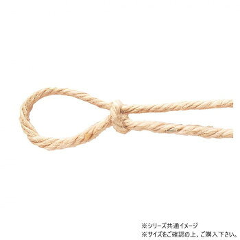 　ギフト対応について　楽天国際配送対象店舗 （海外配送）　Rakuten International Shipping【メール便(定形外郵便)の配送について】※こちらの商品は、[メール便(定形外郵便)]での発送となります。※他商品との同梱された場合は、[宅配便]での発送となり通常の送料が掛かります。※[他商品との同梱][代金引換][配達日時指定]でのご注文をお受けできません。※原則ポスト投函となります。通常の[宅配便]と違い配達までのお時間が掛かる場合があります。&nbsp;青山 リボン カラージュートコード 2.5mm×48m 2131-31様々なアレンジに温かみをプラス【青山 リボン カラージュートコード 2.5mm×48m 2131-31】 fk094igrjs 天然素材ならではの質感が、ナチュラル感を引き立て様々なアレンジに温かみをプラスします。サイズ幅:2.5mm、長さ:48m個装サイズ：5×15×15cm重量個装重量：50g素材・材質麻生産国日本 製品詳細 商品名：青山　リボン カラージュートコード 2.5mm×48m 2131-31カラー・サイズ名称：2327529JANコード：4962616548245 広告文責 (有)イースクエアTEL:0120-532-772 ※お客さま都合による、ご注文後の[キャンセル][変更][返品][交換]はお受けできませんのでご注意下さいませ。※当店では、すべての商品で在庫を持っておりません。記載の納期を必ずご確認ください。※ご注文いただいた場合でもメーカーの[在庫切れ][欠品][廃盤]などの理由で、[記載の納期より発送が遅れる][発送できない]場合がございます。その際は、当店よりご連絡させていただきます。あらかじめご了承ください。【メール便(定形外郵便)の配送について】※こちらの商品は、[メール便(定形外郵便)]での発送となります。※他商品との同梱された場合は、[宅配便]での発送となり通常の送料が掛かります。※[他商品との同梱][代金引換][配達日時指定]でのご注文をお受けできません。※原則ポスト投函となります。通常の[宅配便]と違い配達までのお時間が掛かる場合があります。 こちらの商品は【お取り寄せ(14営業日以内に発送予定)】となります。