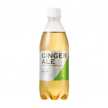 　ギフト対応について　楽天国際配送対象店舗 （海外配送）　Rakuten International Shipping&nbsp;友桝飲料 ジンジャーエール(友桝)500ml 24本入 2102485飲みやすく使いやすい強炭酸のジンジャーエール!【友桝飲料 ジンジャーエール(友桝)500ml 24本入 2102485】 原材料名称：炭酸飲料果糖ぶどう糖液糖(国内製造)/炭酸、酸味料、香料、ビタミンC、カラメル色素保存方法直射日光や高温多湿の場所を避けてください製造（販売）者情報製造者:株式会社友桝飲料fk094igrjs お水は蛍の郷としても有名な、佐賀県小城市の天山山系が磨き上げた 天然水由来の純水を使用。地サイダー、炭酸水の製造で培ったノウハウを存分に活かし、刺激強めの強炭酸に仕上げました。シャンディー・ガフ等のカクテルの割材に最適な商品です。内容量500mlサイズ個装サイズ：42×28×22cm重量個装重量：12600g素材・材質PET仕様賞味期間：製造日より270日生産国日本 広告文責 (有)イースクエアTEL:0120-532-772 ※お客さま都合による、ご注文後の[キャンセル][変更][返品][交換]はお受けできませんのでご注意下さいませ。※当店では、すべての商品で在庫を持っておりません。記載の納期を必ずご確認ください。※ご注文いただいた場合でもメーカーの[在庫切れ][欠品][廃盤]などの理由で、[記載の納期より発送が遅れる][発送できない]場合がございます。その際は、当店よりご連絡させていただきます。あらかじめご了承ください。 こちらの商品は【お取り寄せ(14営業日以内に発送予定)】となります。