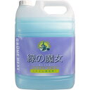 緑の魔女 トイレ用洗剤 業務用 5L