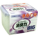 フレッシュパワー消臭力 クルマ用 BIG ホワイトムスク 900g [キャンセル・変更・返品不可]