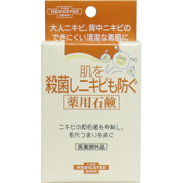 肌を殺菌しニキビも防ぐ薬用石鹸 110g [キャンセル・変更・返品不可]