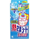 冷凍庫用 熱さまシート ストロング 大人用 12枚入 [キャンセル・変更・返品不可]