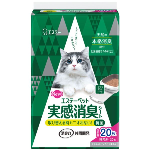 ơڥå ´ý ǭѥƥȥ 20