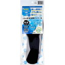 Silica Comfort ムレ&足臭対策インソール ブラック 27.5〜28.0cm(3L)