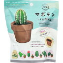写実シリーズ サボテン バスボール リラックスできるグリーンの香り 50g 1回分