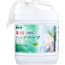 薬用ハンドソープ 泡ポンプ・液ポンプ兼用 シトラスの香り 5kg