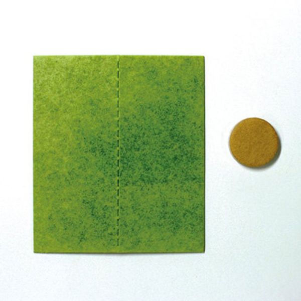 チュチュベビー アトピッシュライナー 240回分