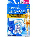 バンテリンコーワ リカバリークール 腕用 パールホワイト S〜Mサイズ 左右1セット(2枚入)