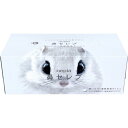 ネピア 鼻セレブティシュ ボックス 400枚(200組) ※単品販売(色柄指定不可)