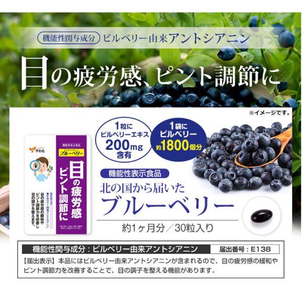 やわた 北の国から届いた ブルーベリー 1ヶ月分 30粒入 3