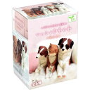フィギュア いっしょにねんね わんこ 1個入 ※単品販売(種類指定不可)