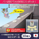 はとにげ〜る [キャンセル・変更・返品不可]