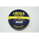 LINCOLN(J[) V[|bV 60g ^ [LZEύXEԕis]