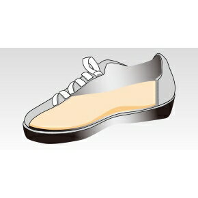 DSIS����ܥإ륷�� �ե륤�󥽡��� ���졼 L