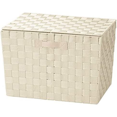 ちどり産業 PPストラップバスケット フタ付き SF-901BG [ベージュ]