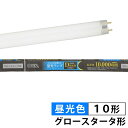 蛍光ランプ スリムタイプ グロースタータ形(10形/昼光色) (FL10SS・EX-D) [キャンセル・変更・返品不可]