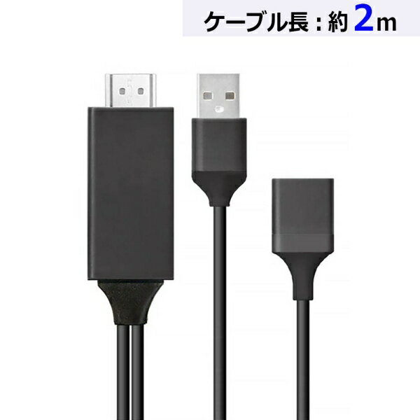 エアージェイ HDMI変換ケーブル(2m/ブラック) (AHD-P2M BK) [キャンセル・変更・返品不可]