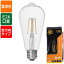 LEDフィラメントタイプ電球 レトロ球(40形相当/522 lm/3.3W/電球色/E26/全方向配光290°) (LDF3L C6/ST64)