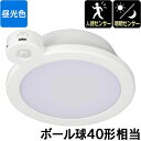 LEDミニシーリングライト (明暗・人感センサー付き/ボール電球40形相当/620 lm/6.0W/昼光色/ホワイト) (LE-Y6DG-W-PIR) [キャン...