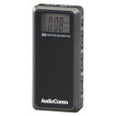 ライターサイズラジオ(本体30g/AM、FMステレオ、ワイドFM/イヤホン専用/単4形×2本使用) (RAD-P255N)