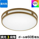 LEDミニシーリングライト (調光3段階/高演色Ra93/ボール球60形相当/810 lm/8.1W/昼光色) (LE-Y7BC-TD) [キャンセル・変更・返...
