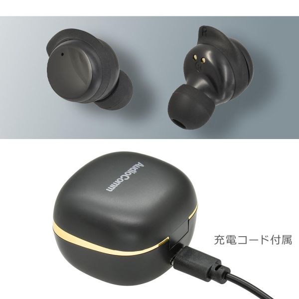 完全ワイヤレスホン(Bluetooth/USB-C給電/防塵防水IP54/マイク内蔵/連続使用6時間/ブラック) (HP-W430N-K)