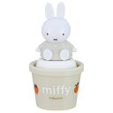 miffy マスコット付ソルトケース スケーター