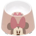 ミニーマウス メラミン製フードボウル スケーター